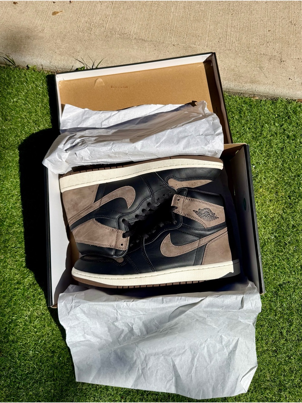 Jordan 1 Retro High OG Palomino Size 12